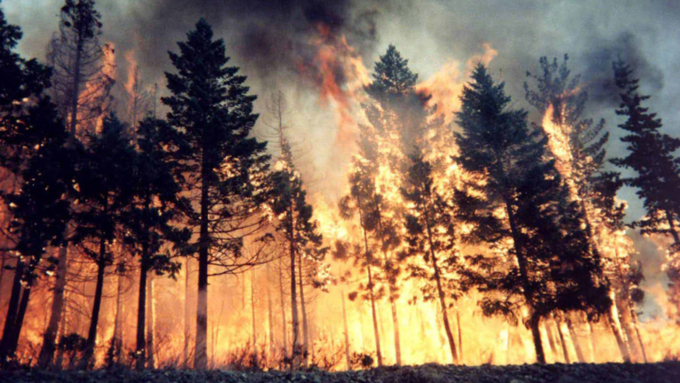 В трех регионах на сегодня зарегистрировано 388 действующих пожаров / Фото: kr.oblast.online