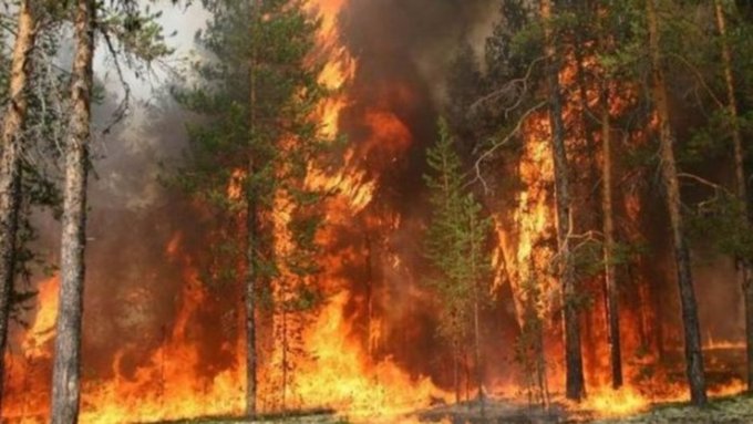 Фото: из архива amic.ru