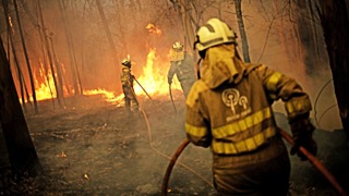 Пожарный потерялся на территории Байкитского лесничества Эвенкийского района / Фото: russianpulse.ru