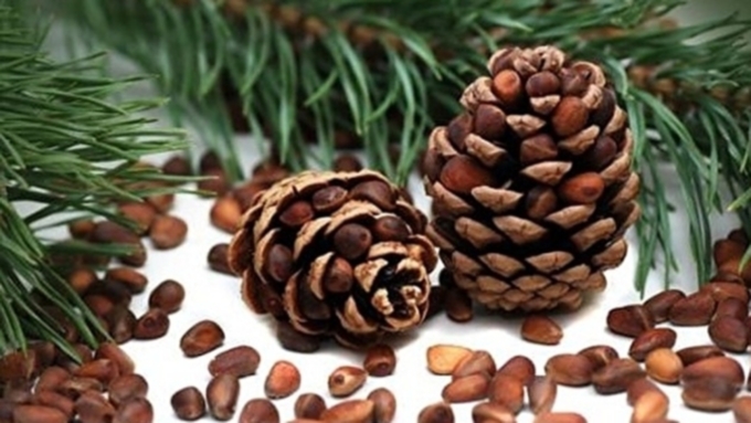 Фото: из архива Amic.ru