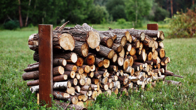 Четыре поленницы дров заготовил россиянин из вырубленных деревьев / Фото: ogorod.ahuman.ru