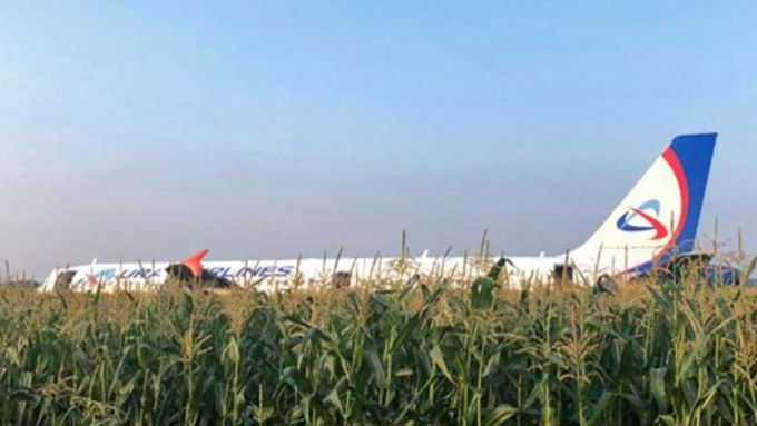 Лайнер A321 приземлился на кукурузном поле / Фото: independent-press.ru