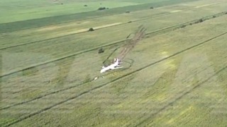 Самолет Airbus А321 приземлился в кукурузном поле / Фото: кадр из видео