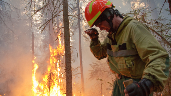 Активная фаза тушения лесных пожаров для алтайских спасателей закончилась / Фото: pushkino.bezformata.com