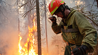 Активная фаза тушения лесных пожаров для алтайских спасателей закончилась / Фото: pushkino.bezformata.com