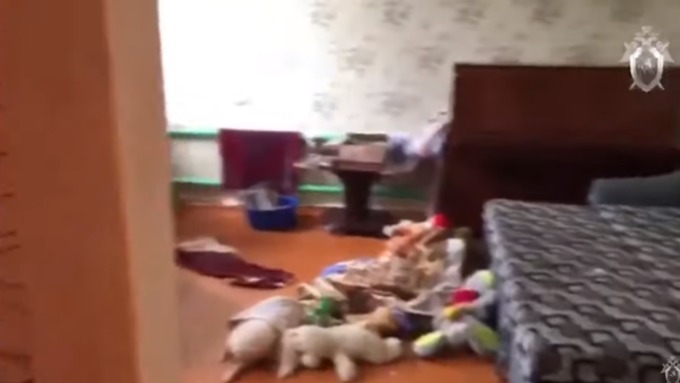 В доме нашли тела мужчины, двух женщин и двух четырехлетних детей / Фото: кадр из видео