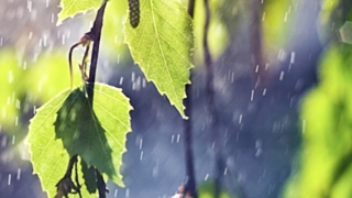 Фото: из архива Amic.ru