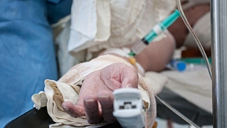 Фото: из архива Amic.ru