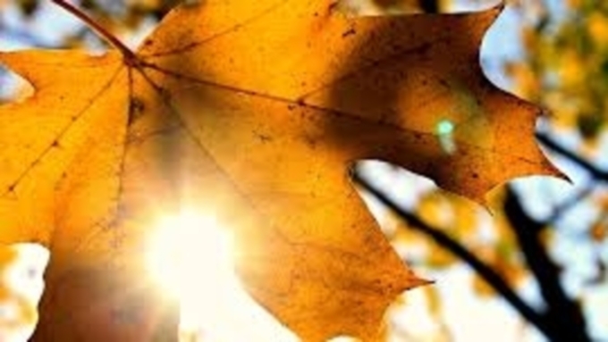 Фото: из архива Amic.ru