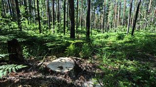 Фото: Екатерина Смолихина / Amic.ru