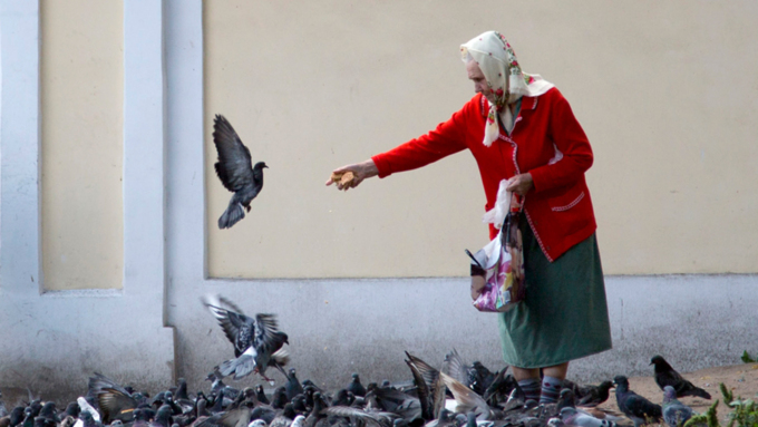 Одним из "ритуалов" было кормление голубей в парке / Фото: fototelegraf.ru