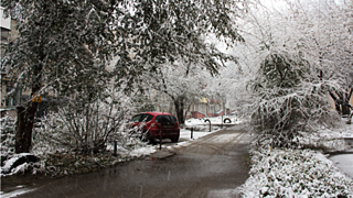 Первый снег / Фото: photosight.ru