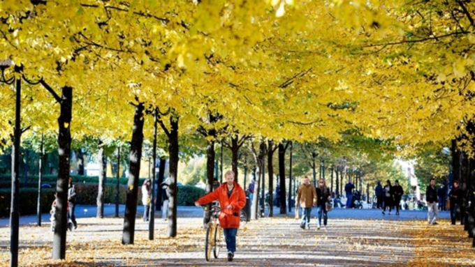 Фото: из архива amic.ru