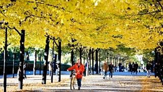 Фото: из архива amic.ru