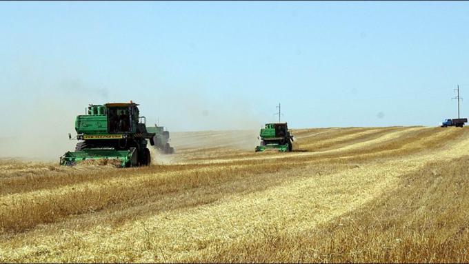 Уборочная кампания / Фото из архива amic.ru