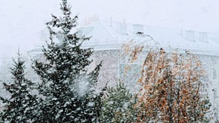 Снег в Барнауле / Фото Екатерина Смолихина / amic.ru 