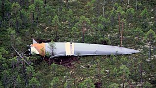 Обломки ракет не вывозят, и они лежат в лесах / Фото: Profile.ru