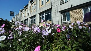 Благоустройство / Фото: Екатерина Смолихина / amic.ru