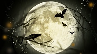 Хеллоуин / Фото: pixabay.com