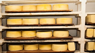 Сыр / Фото: amic.ru