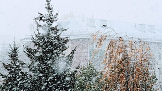 Снег и ветер / Фото: amic.ru