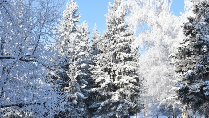 Снег и мороз / Фото: Екатерина Смолихина / amic.ru 