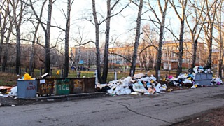 Мусорка рядом со школой № 40 / Фото: "Бийский рабочий", biwork.ru