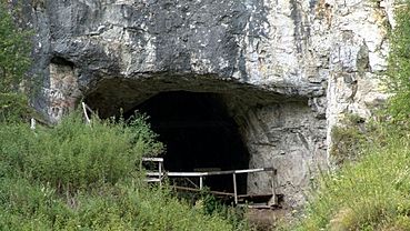 В Денисовой пещере на Алтае нашли фигурку пещерного льва возрастом 45 тысяч лет