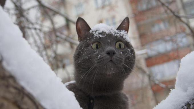 Зима как всегда удивляет / Фото: mvestnik.ru