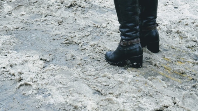 Фото: Екатерина Смолихина