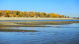 Фото: Екатерина Смолихина / amic.ru