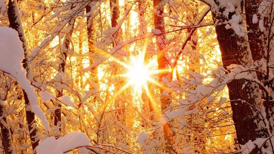 Яркое зимнее солнце заглянуло