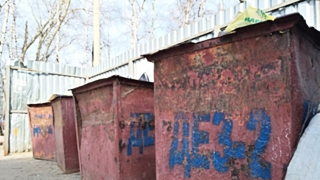 Мусорный контейнер в Барнауле / Фото: Александра Черданцева / amic.ru