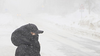 Фото: Вячеслав Мельников / amic.ru