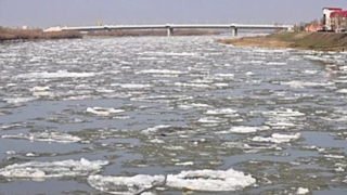 Фото: из архива amic.ru