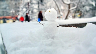 Фото: Екатерина Смолихина / amic.ru