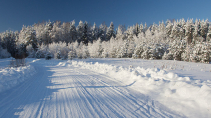 Фото: из архива amic.ru