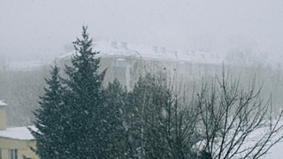 Фото: amic.ru / Екатерина Смолихина 