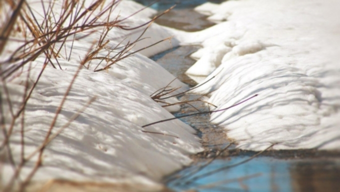 Фото: Екатерина Смолихина / amic.ru