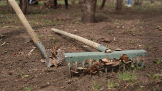 Фото: Екатерина Смолихина / amic.ru