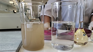 Фото: amic.ru / Александр Соколов