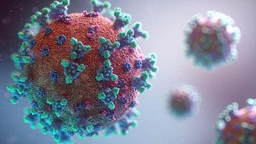 В двух сибирских городах зафиксировали первые случаи коронавируса