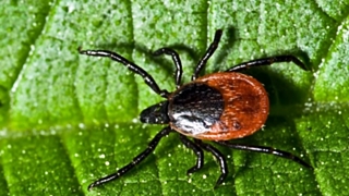 Фото: из архива amic.ru