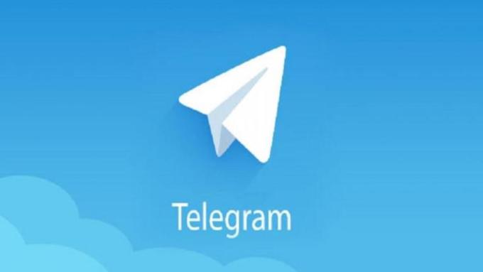 Фото: telegram.org