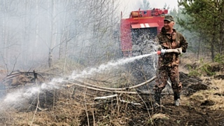 Фото: amic.ru / Александр Соколов