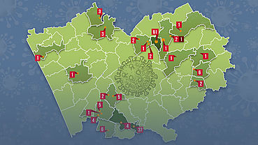 Все там же. Карта распространения коронавируса в Алтайском крае. Инфографика