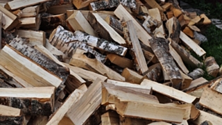 Фото: из архива amic.ru