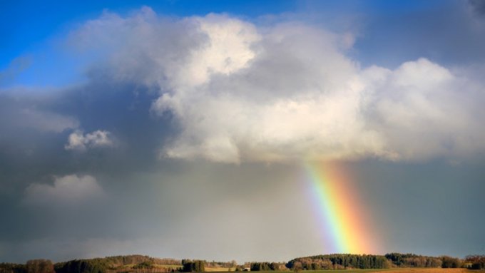 Фото: pixabay.com