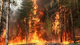 Фото: из архива amic.ru