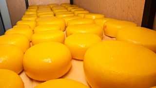 Фото: Екатерина Смолихина / amic.ru